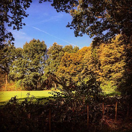 Nachtegalenpark