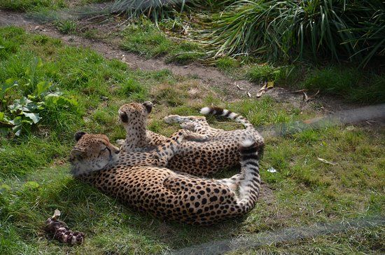 Olmense Zoo