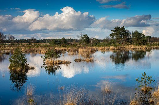 Hageven-De Plateaux