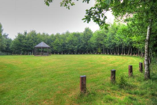 Bois de la Paix