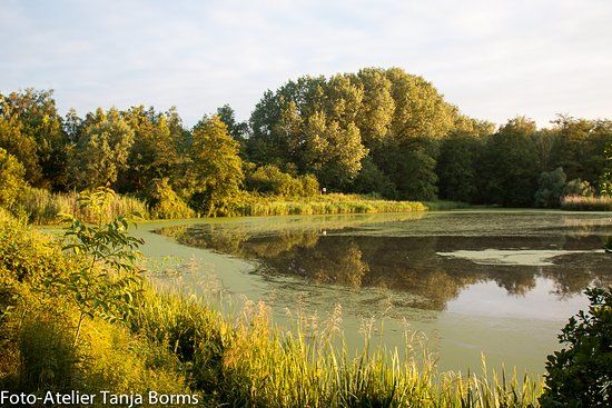 Molsbroek