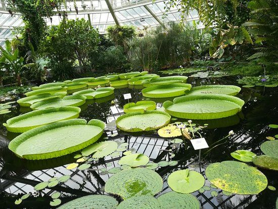 de Plantentuin Meise